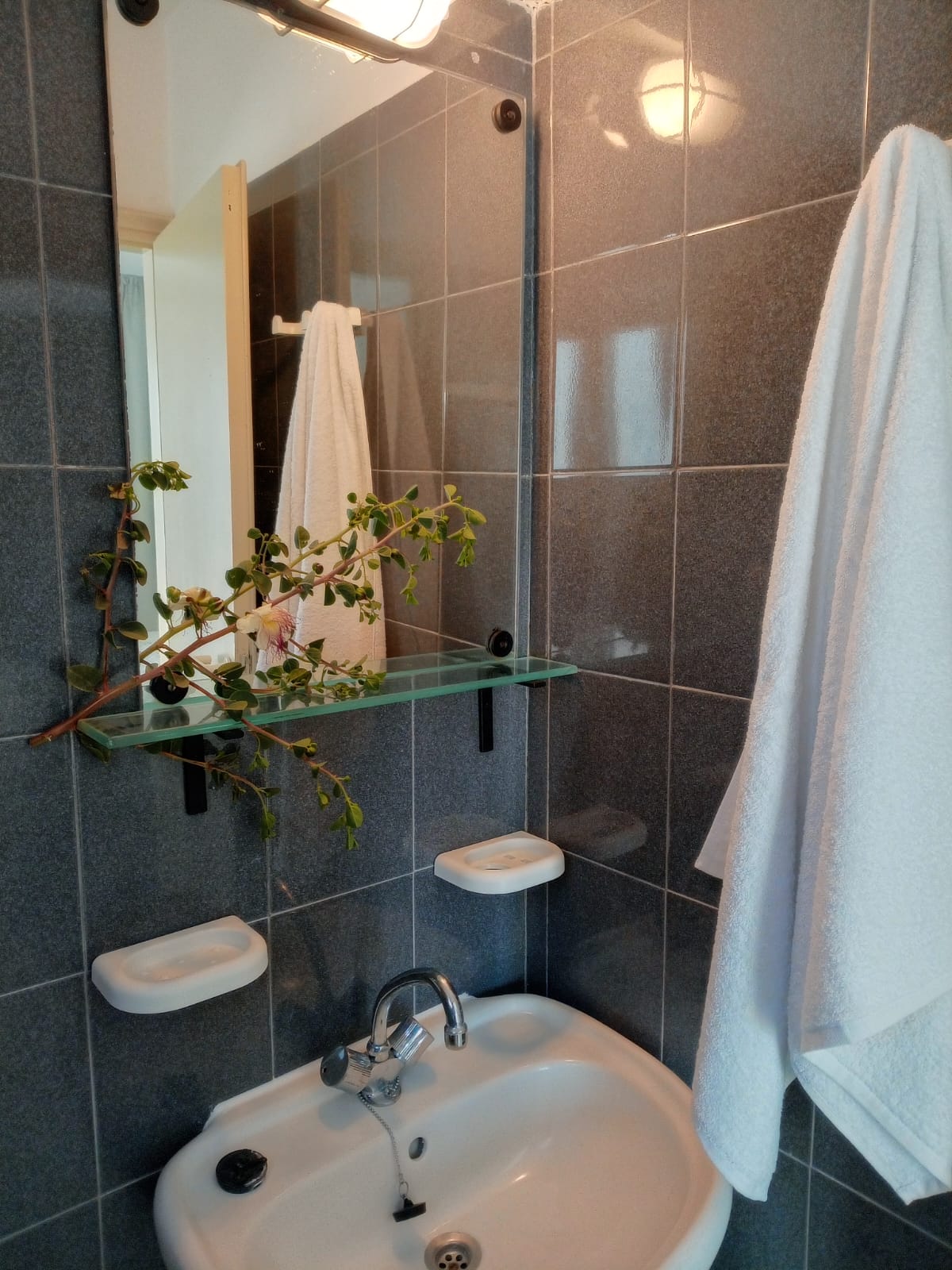 placeholder image sq